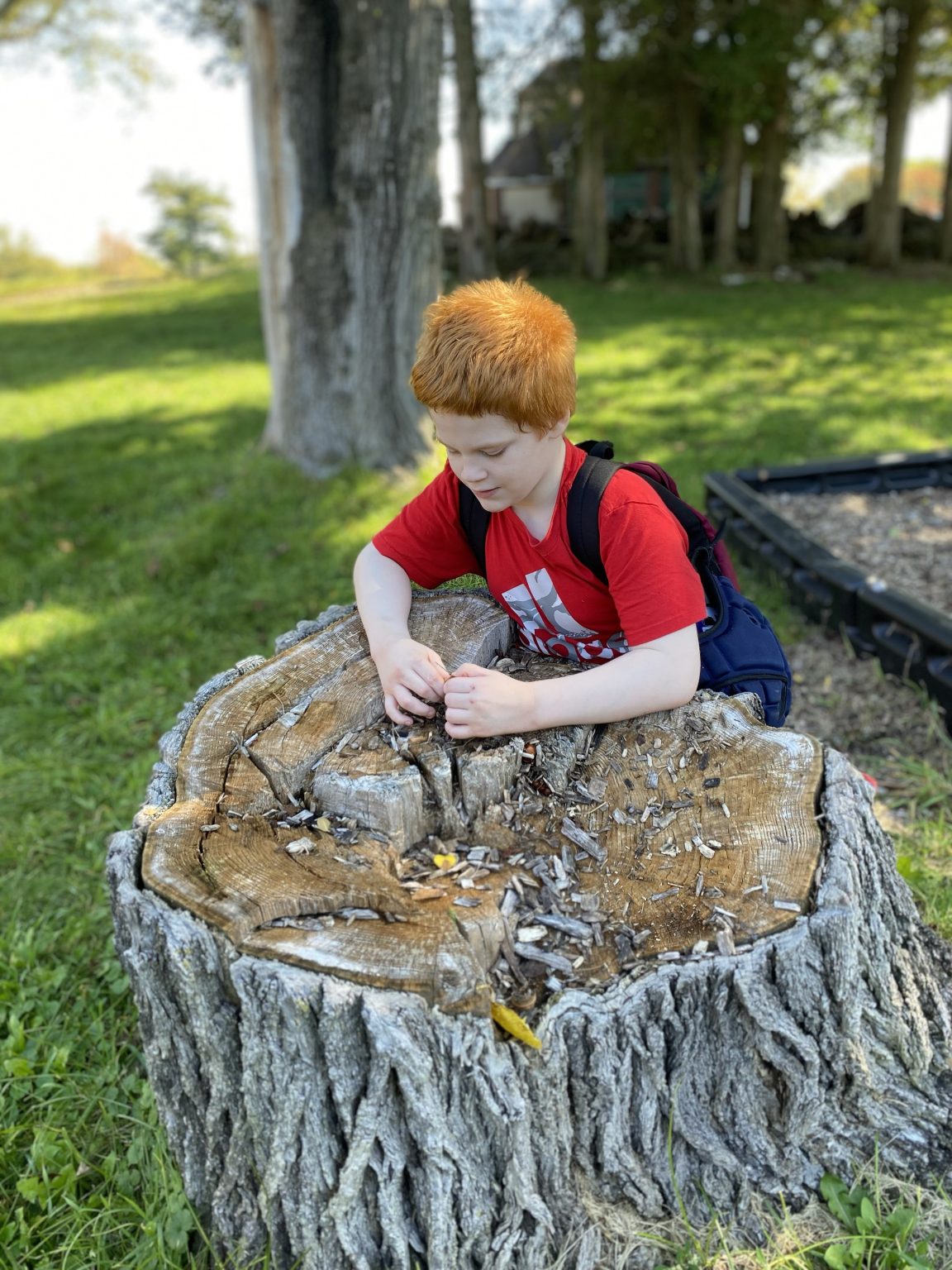 The Transformative Benefits of Hiking, Running, and Walking for